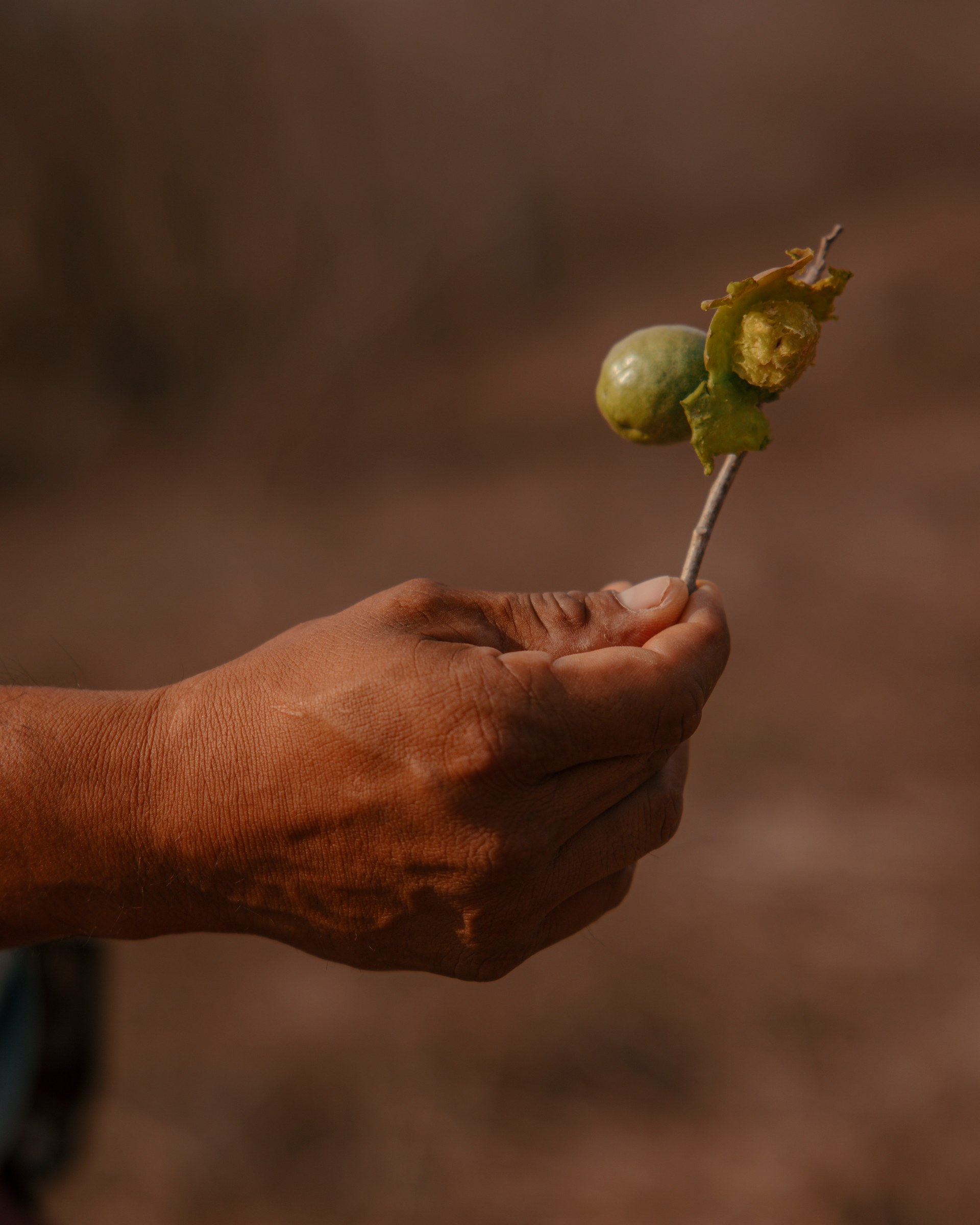 Lifestyle and travel photography in Mexico by Paola Vivas
