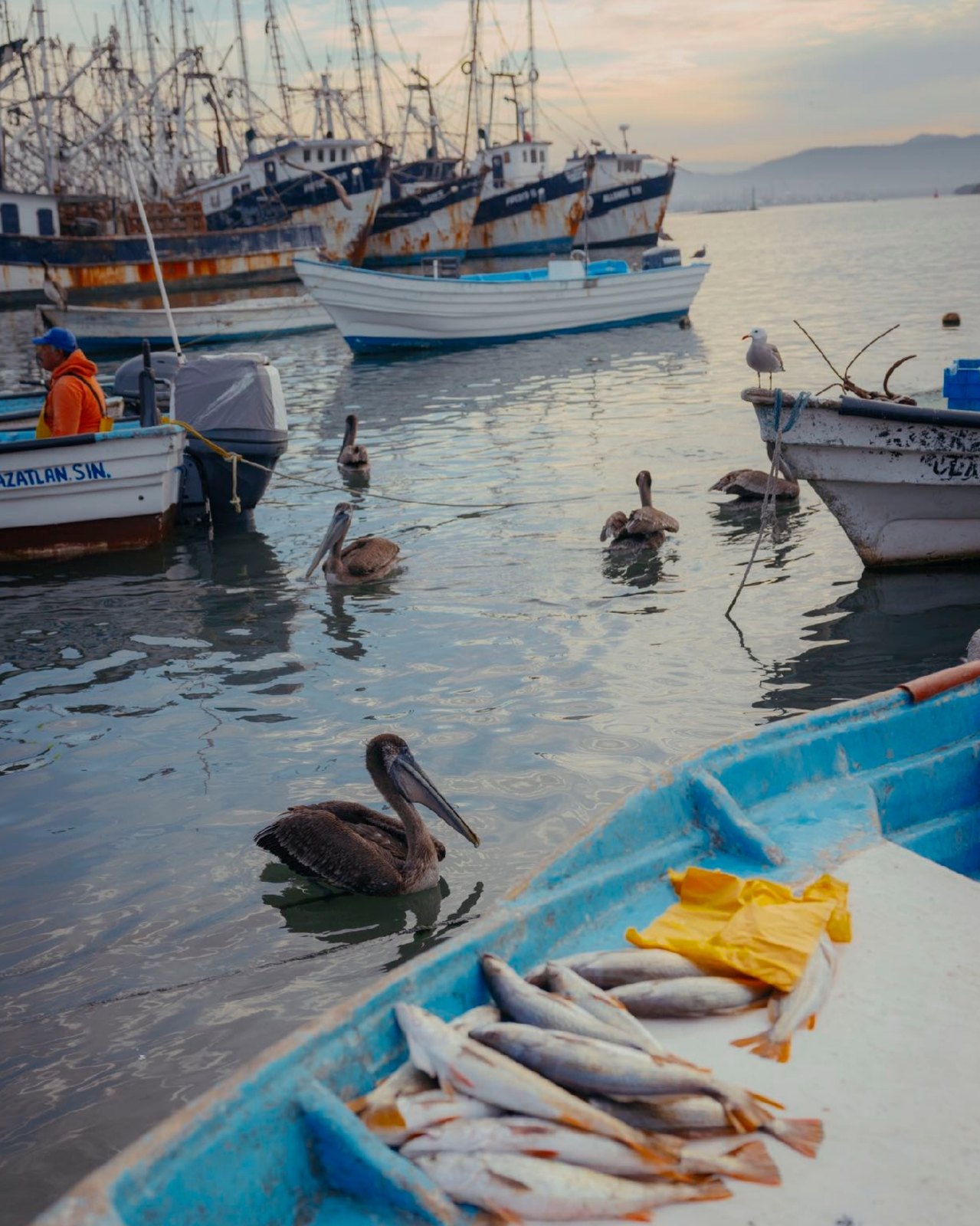 Lifestyle and travel photography in Mexico by Paola Vivas